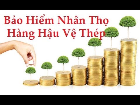 hàng hậu vệ thép