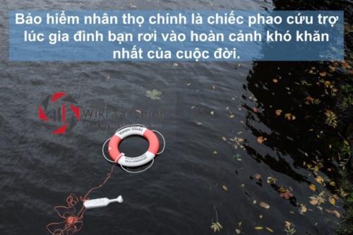 phao-cuu-tro-1-1024x683